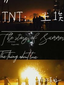 TNT：尘埃落