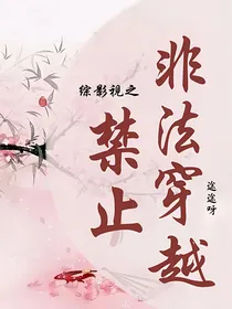 综影视之禁止非法穿越