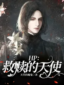 HP：救赎的天使