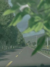 忆柳钦