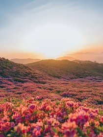 还珠格格之和敬公主归来