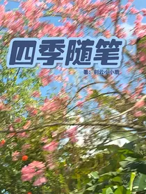 四季随笔-d541