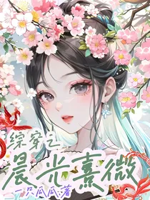 综穿之晨光熹微