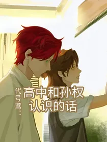 代号鸢：高中和孙权认识的话