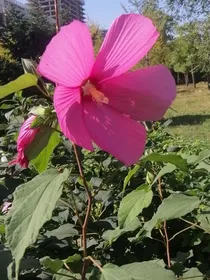 惊悚游戏之规则怪谈