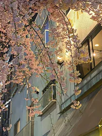 月光华馆