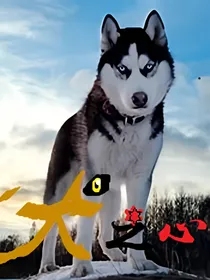 犬之心之火焰诅咒