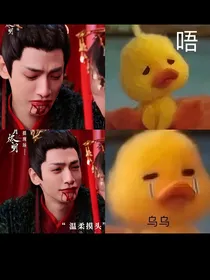 多情却被无情恼