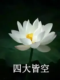 天道我罩着
