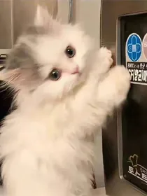 坚持写完