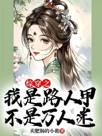综穿之我是路人甲不是万人迷