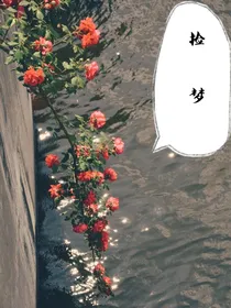 捡梦