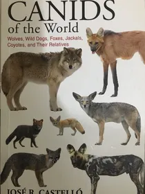 世界犬科（翻译与摘录）