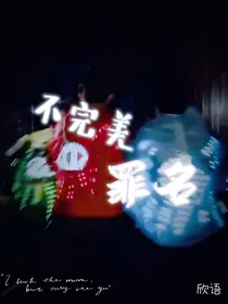 不完美罪名