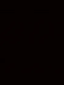 回梦集