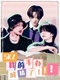 SKZ：我的手办成精了