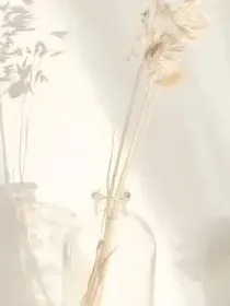 摊上鸽子精后我真香了