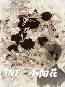 TNT：小阳花