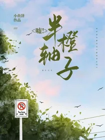嘘！半轴橙子