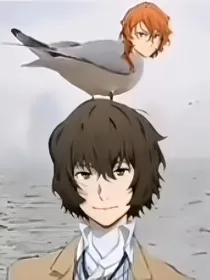 太宰的玩物