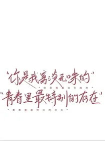 茶百味