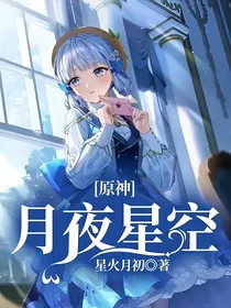 原神：月夜星空