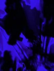 你是我的专属幸运物品