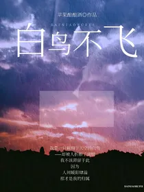 白鸟不飞