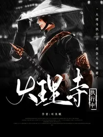 大理寺执行中