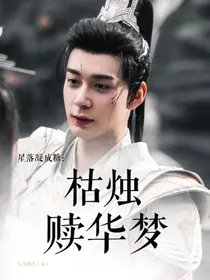 星落凝成糖：枯烛赎华梦