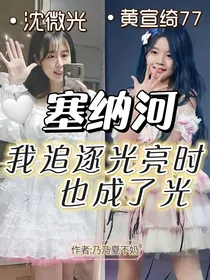 塞纳河：我追逐光亮时也成了光