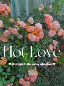 HotLove
