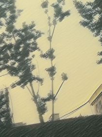 那些灵异事