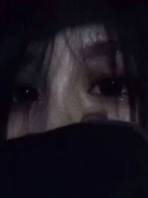 青鸾的小狐狸