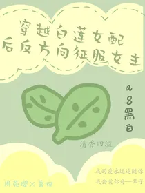 穿越白莲女配后反方向征服女主