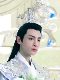 香蜜沉沉烬如霜：师尊在下
