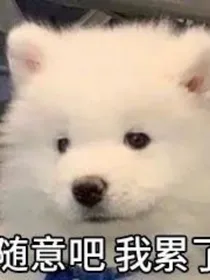 我穿了，死的很奇葩