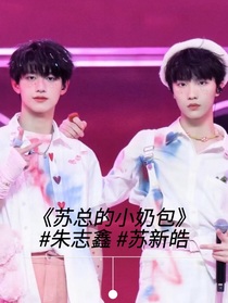 苏朱：苏总的小奶包
