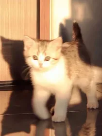 谁是谁的光……