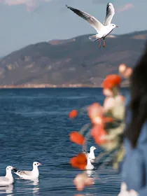 yd语录合集