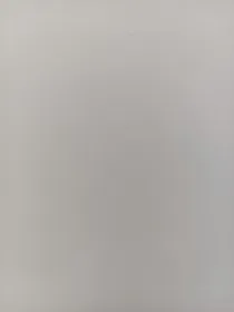 穿越到有神兽的世界（古代）