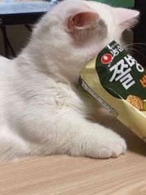 特校———番外