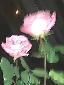 综艺体：我们的小家