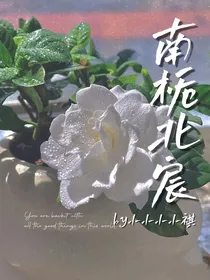 南栀北宸