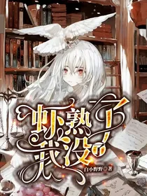 在浪漫中与你同行