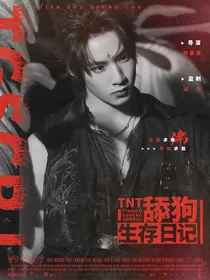 TNT：舔狗生存日记
