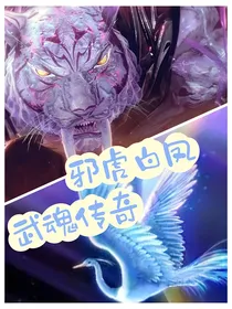 邪虎白凤——武魂传奇