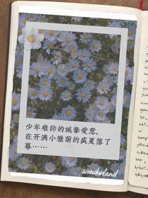 雾岛蓝鲸