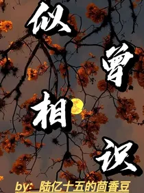 HP：似曾相识