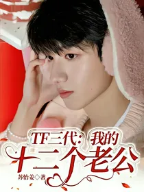 TF三代：我的十二个老公